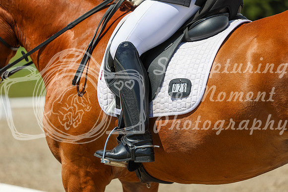 13355 - 2026 Dressage Festival - Sunday July 5th