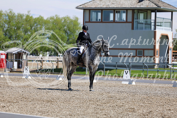08694 - 2026 Dressage Festival - Sunday July 5th