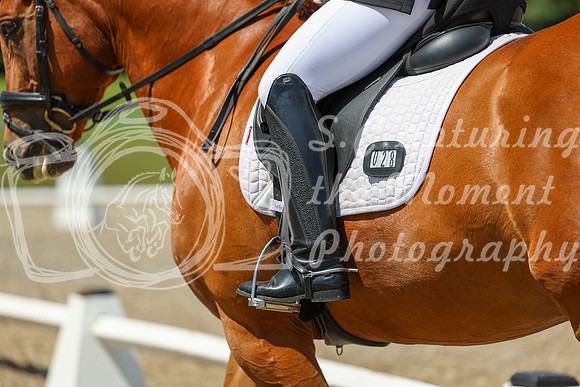 13357 - 2026 Dressage Festival - Sunday July 5th