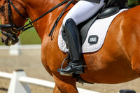 13356 - 2026 Dressage Festival - Sunday July 5th