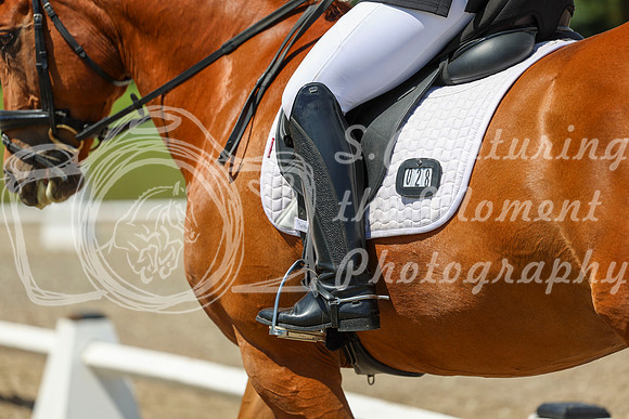 13356 - 2026 Dressage Festival - Sunday July 5th