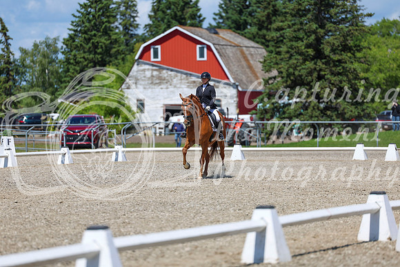 13358 - 2026 Dressage Festival - Sunday July 5th