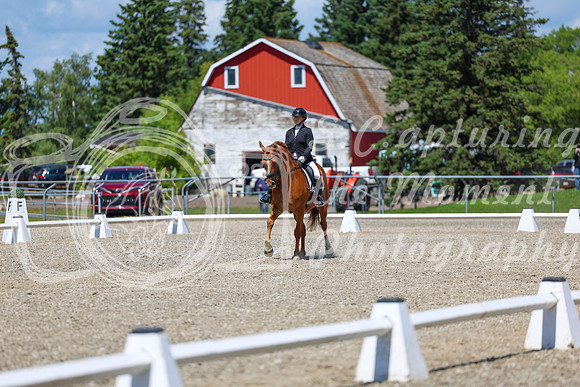 13360 - 2026 Dressage Festival - Sunday July 5th