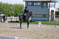 08697 - 2026 Dressage Festival - Sunday July 5th
