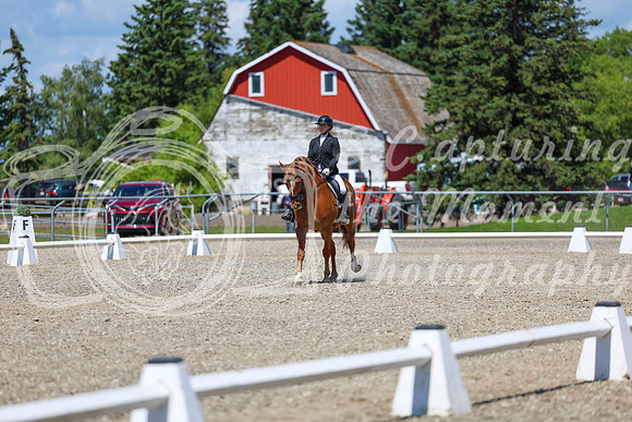 13362 - 2026 Dressage Festival - Sunday July 5th