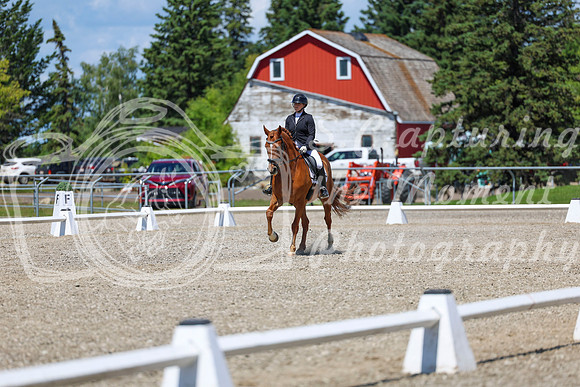 13364 - 2026 Dressage Festival - Sunday July 5th