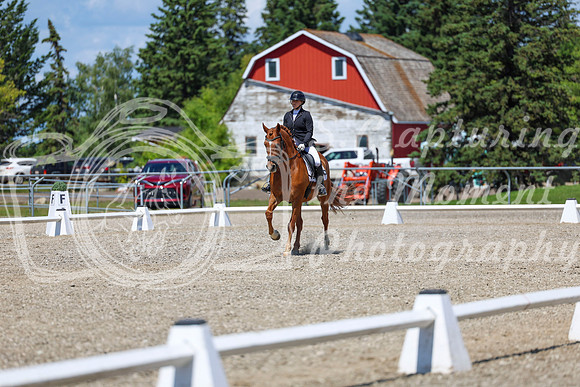 13363 - 2026 Dressage Festival - Sunday July 5th