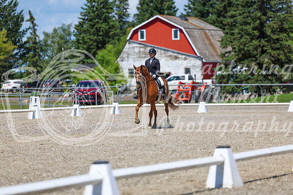 13365 - 2026 Dressage Festival - Sunday July 5th
