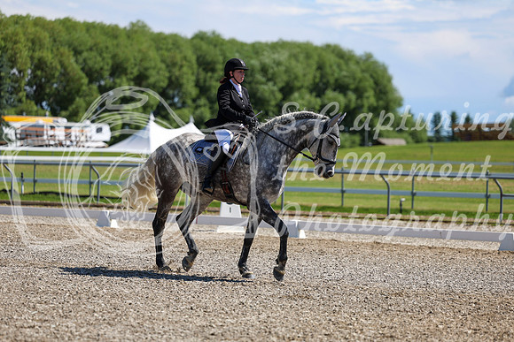08703 - 2026 Dressage Festival - Sunday July 5th