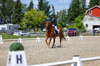 13367 - 2026 Dressage Festival - Sunday July 5th