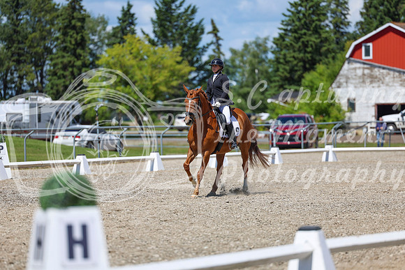 13367 - 2026 Dressage Festival - Sunday July 5th