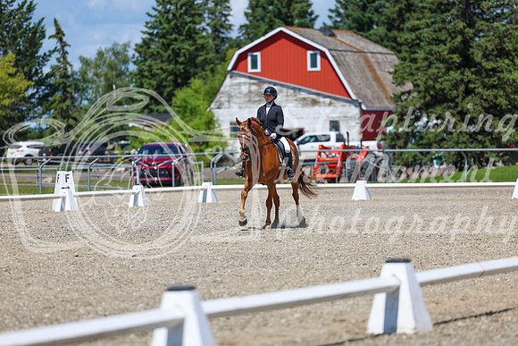 13366 - 2026 Dressage Festival - Sunday July 5th