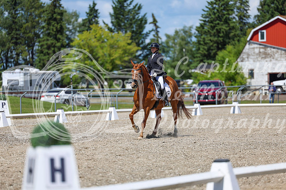 13368 - 2026 Dressage Festival - Sunday July 5th