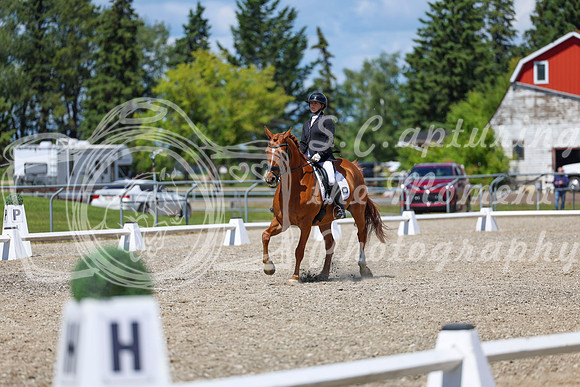 13370 - 2026 Dressage Festival - Sunday July 5th