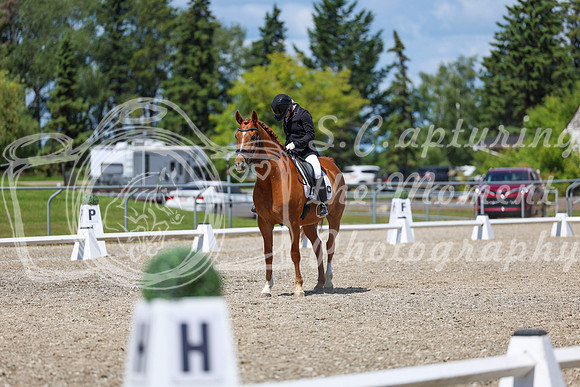 13372 - 2026 Dressage Festival - Sunday July 5th