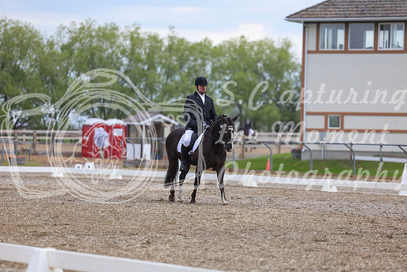 03573 - 2026 Dressage Festival - Sunday July 5th
