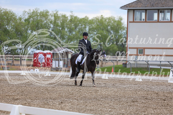 03575 - 2026 Dressage Festival - Sunday July 5th