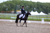 03600 - 2026 Dressage Festival - Sunday July 5th