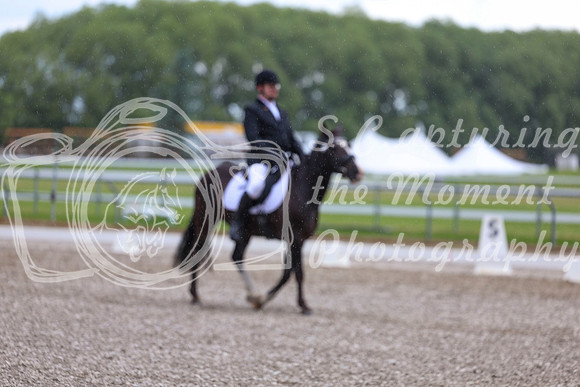 03601 - 2026 Dressage Festival - Sunday July 5th