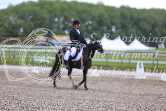 03602 - 2026 Dressage Festival - Sunday July 5th
