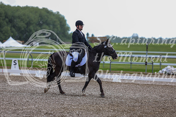 03603 - 2026 Dressage Festival - Sunday July 5th