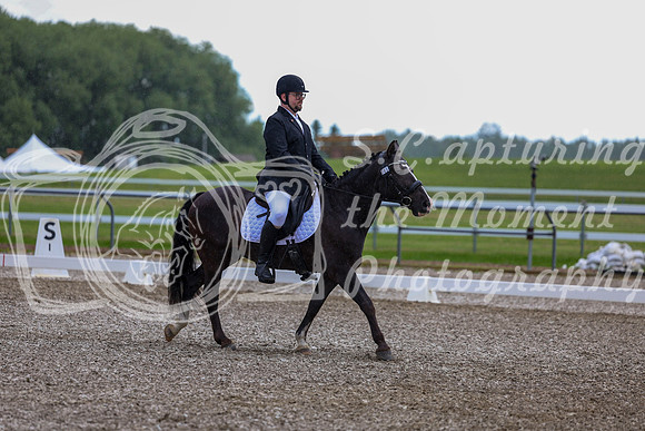03604 - 2026 Dressage Festival - Sunday July 5th