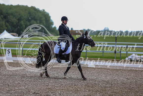 03606 - 2026 Dressage Festival - Sunday July 5th