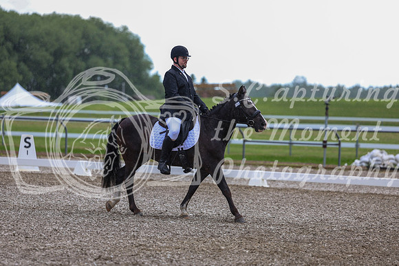 03605 - 2026 Dressage Festival - Sunday July 5th