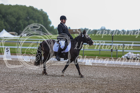 03607 - 2026 Dressage Festival - Sunday July 5th