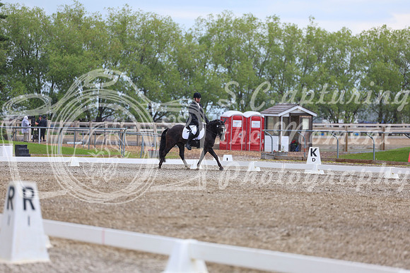03652 - 2026 Dressage Festival - Sunday July 5th