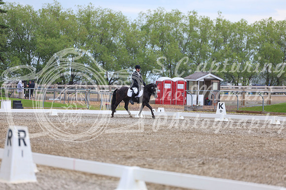 03651 - 2026 Dressage Festival - Sunday July 5th