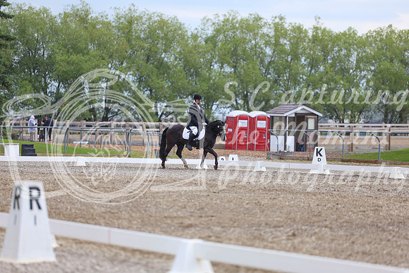 03650 - 2026 Dressage Festival - Sunday July 5th