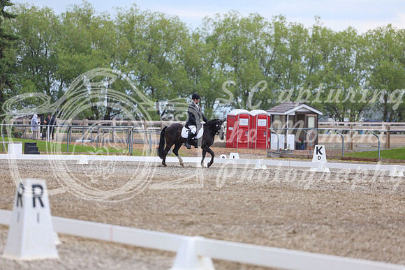 03649 - 2026 Dressage Festival - Sunday July 5th