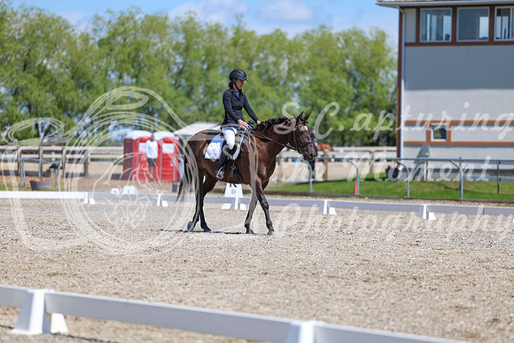 12689 - 2026 Dressage Festival - Sunday July 5th