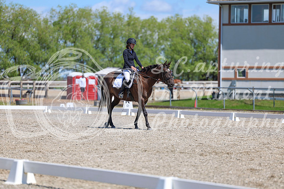 12690 - 2026 Dressage Festival - Sunday July 5th