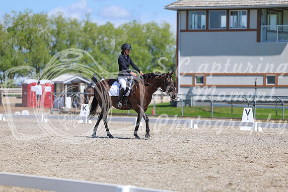 12695 - 2026 Dressage Festival - Sunday July 5th