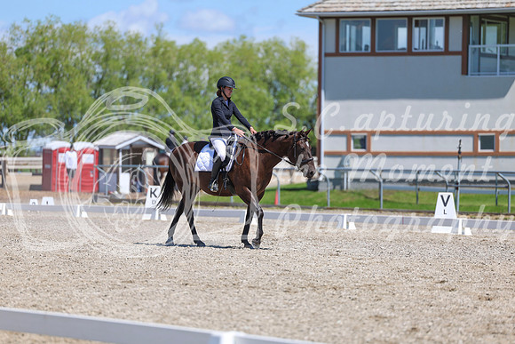 12694 - 2026 Dressage Festival - Sunday July 5th