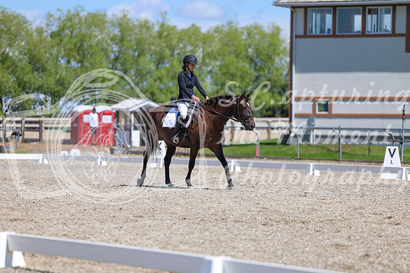 12692 - 2026 Dressage Festival - Sunday July 5th