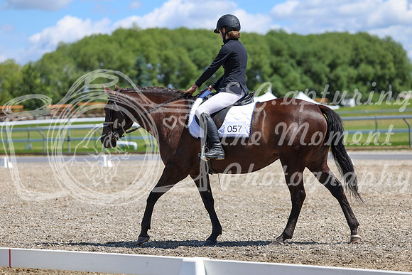 12699 - 2026 Dressage Festival - Sunday July 5th