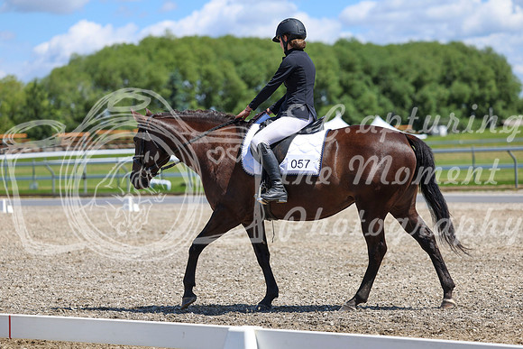 12698 - 2026 Dressage Festival - Sunday July 5th