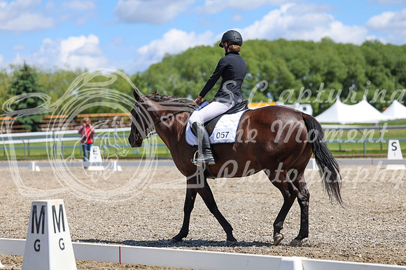 12702 - 2026 Dressage Festival - Sunday July 5th
