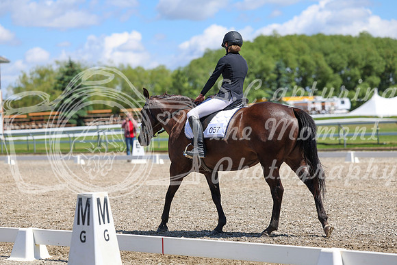 12706 - 2026 Dressage Festival - Sunday July 5th