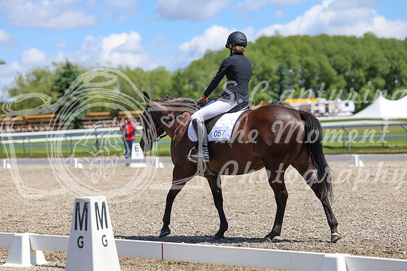 12705 - 2026 Dressage Festival - Sunday July 5th