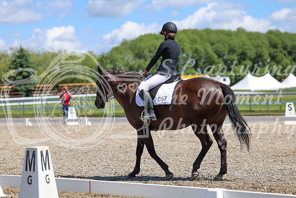 12703 - 2026 Dressage Festival - Sunday July 5th