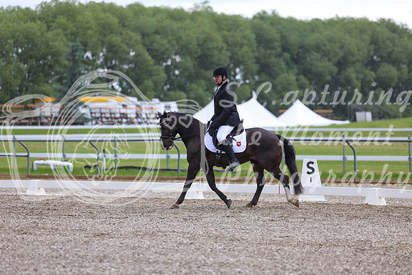 03700 - 2026 Dressage Festival - Sunday July 5th