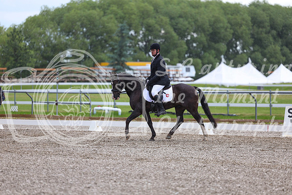 03702 - 2026 Dressage Festival - Sunday July 5th