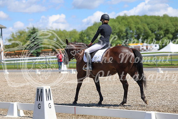 12707 - 2026 Dressage Festival - Sunday July 5th