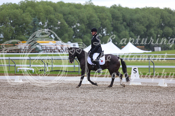 03701 - 2026 Dressage Festival - Sunday July 5th