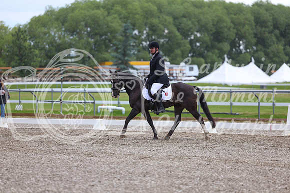 03703 - 2026 Dressage Festival - Sunday July 5th