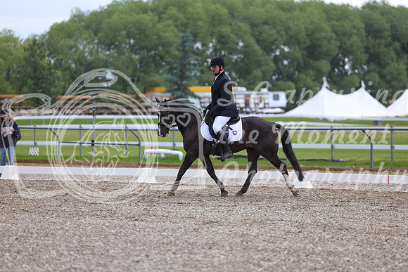 03704 - 2026 Dressage Festival - Sunday July 5th